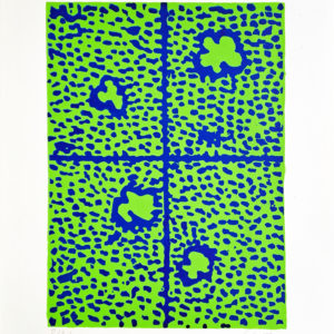 Guillaume Goutal, Parc Dsvolynos, Kaunas, Lituanie1936 (détail) Série cartographies 2024