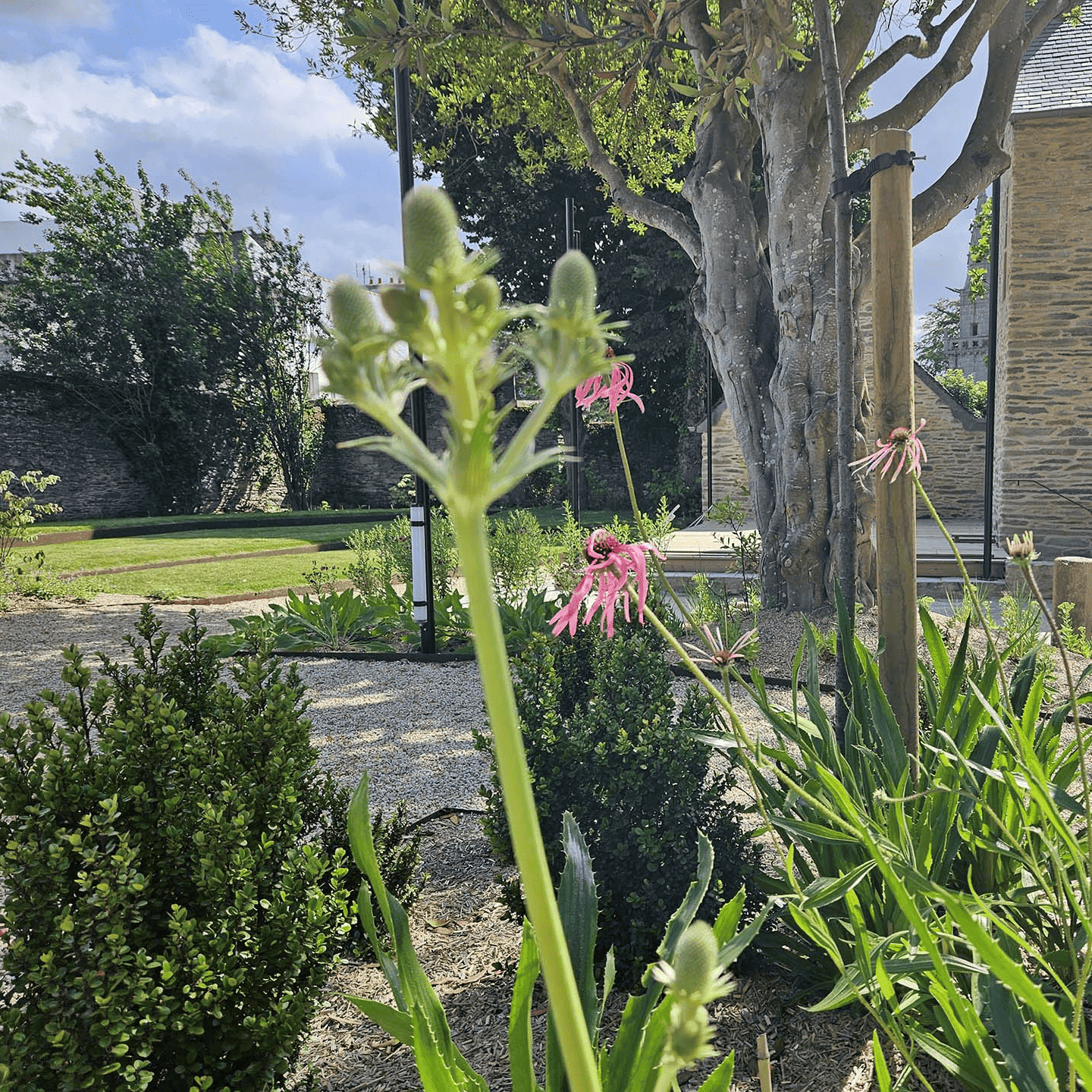 Ar Presbital - Jardin clos 3