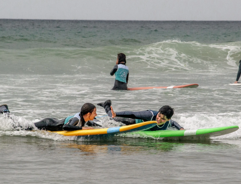Handisurf