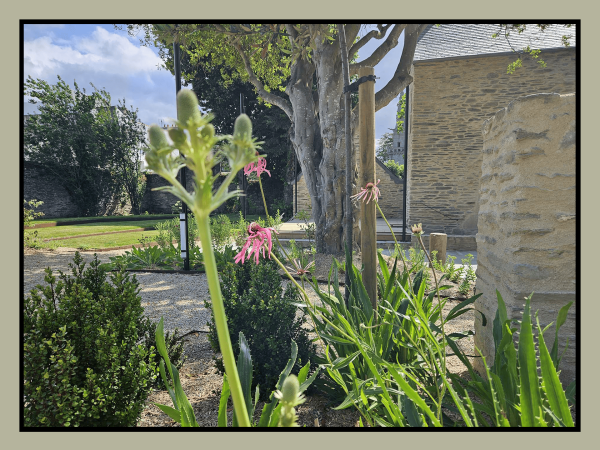 photo-ar-presbital-lejardin4