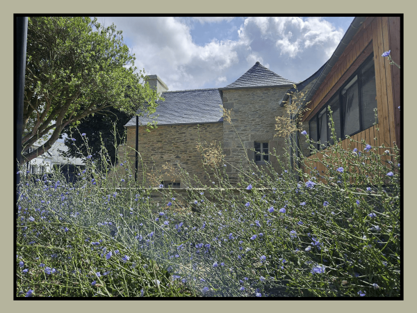 photo-ar-presbital-lejardin5