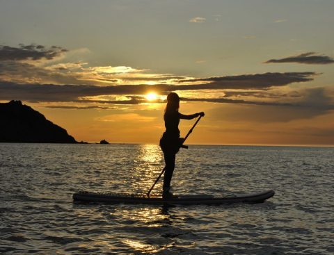 Paddle