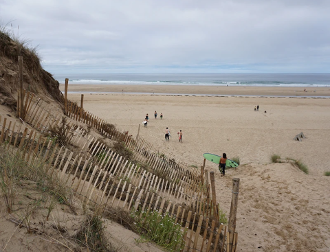 Surf trips & camps